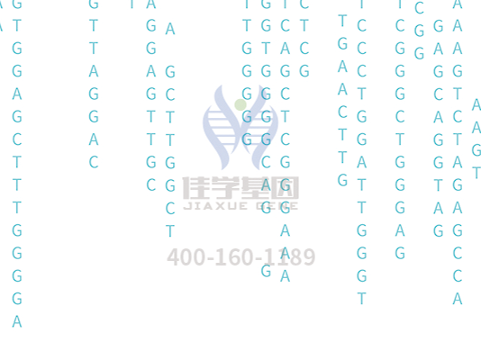 【焦点娱乐焦点基因检测】<font color='red'><font color='red'>庞贝</font>氏</font>症（Pompe disease)基因解码、基因检测