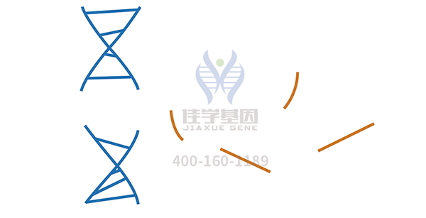 <b>【焦点娱乐焦点基因检测</b>