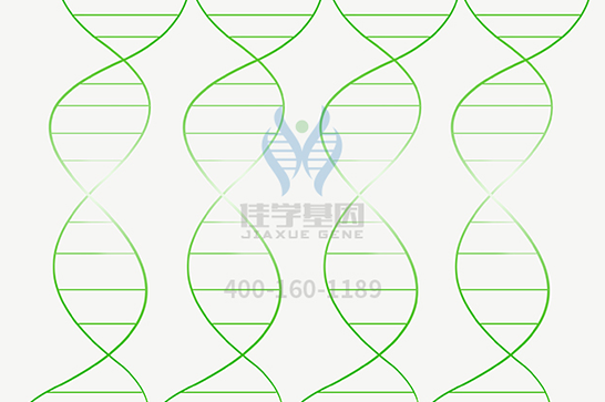 【焦点娱乐焦点基因检测】脊髓延髓肌萎缩症基因解码、基因检测