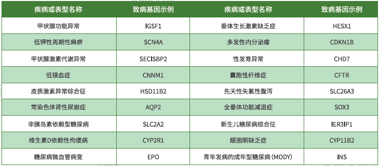 【焦点娱乐焦点基因检测】<font color='red'><font color='red'>内分泌</font>及<font color='red'>代谢</font><font color='red'>系统</font><font color='red'>疾病</font></font>致病基因鉴定基因解码